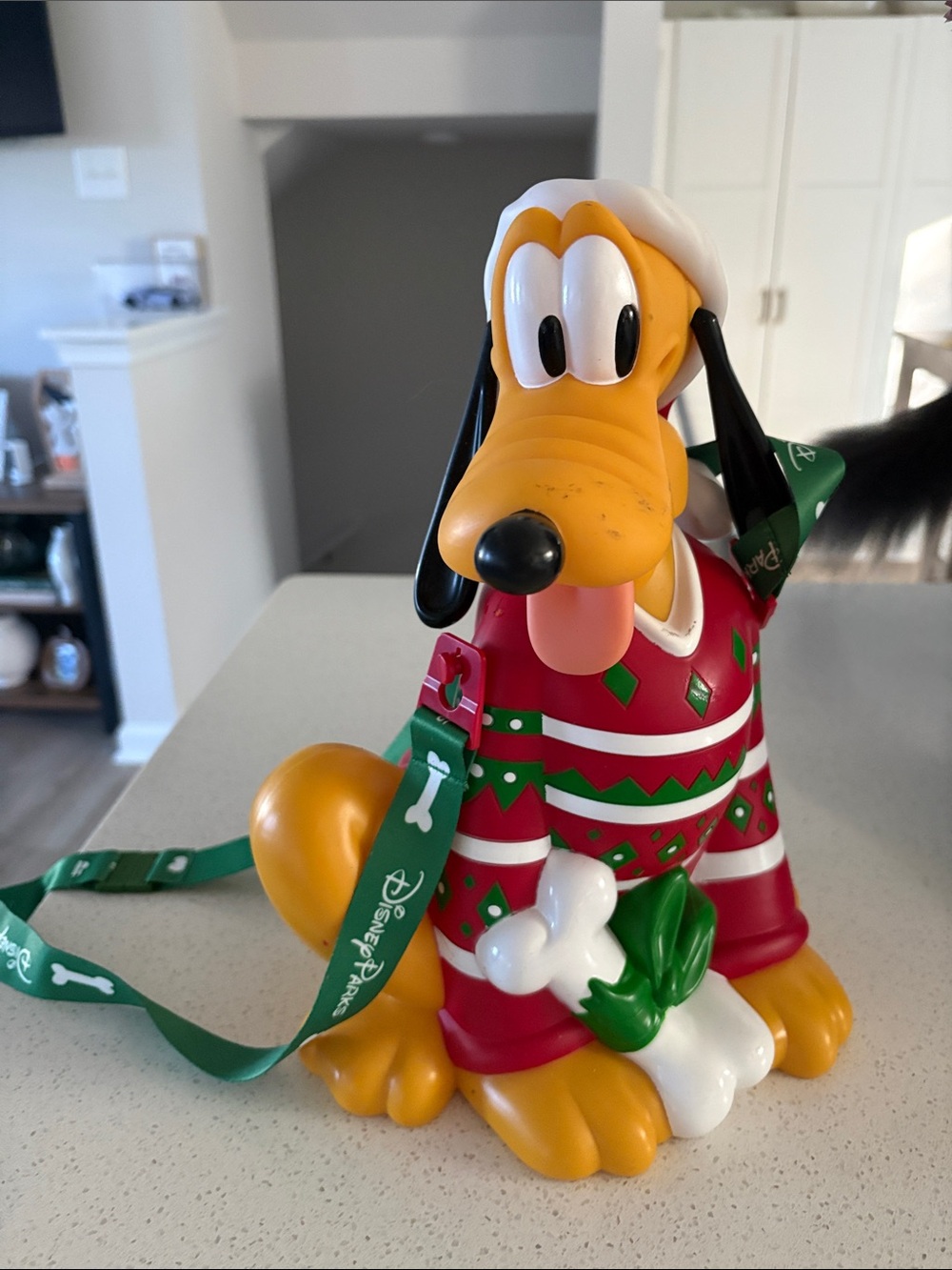 Walt disney world Christmas Pluto popcorn bucket